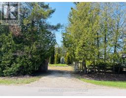 5 HAMILTON STREET - 4