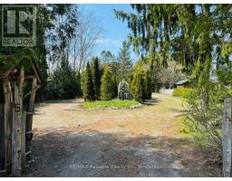 5 HAMILTON STREET - 41