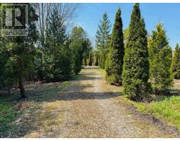 5 HAMILTON STREET - 42