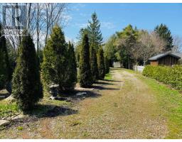 5 HAMILTON STREET - 6