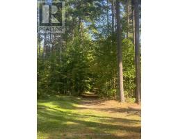 306 BLACK SPRUCE DRIVE - 20