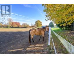 20076 CHERRY HILL ROAD - 8