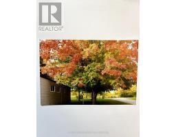 31 TRAILER PARK ROAD - 44