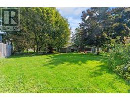243 ALBERT STREET - 36