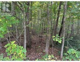 42951 CRANBROOK ROAD - 8