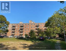 508 - 183 LISGAR AVENUE - 30