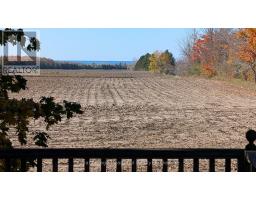 37881 CRYSTAL SPRINGS ROAD - 2