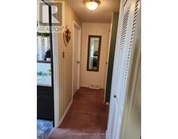 234 PATRICIA ROAD - 24