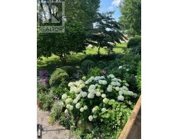 33774 MAPLE COURT - 38