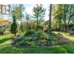 335 BRITANNIA STREET - 37