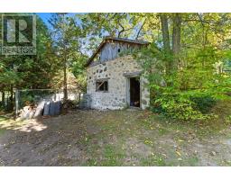 66 OLD MILL ROAD - 33