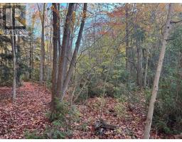 28 GEORGE STREET - 3