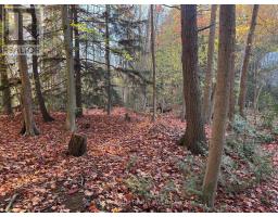 28 GEORGE STREET - 4