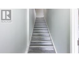 56 ALBERT STREET - 11