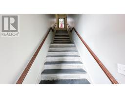 56 ALBERT STREET - 2