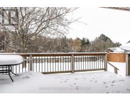 56 TRAILSIDE COURT - 39