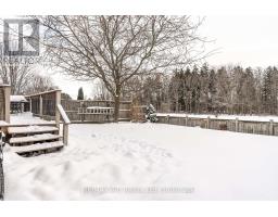 56 TRAILSIDE COURT - 42