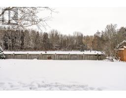 56 TRAILSIDE COURT - 43