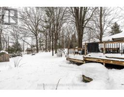 250 ORCHARD AVENUE - 38