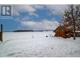 199 LIEBLER STREET - 38