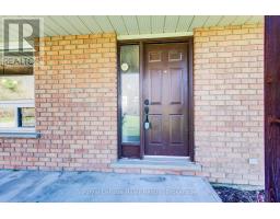 5972 DEBORAH GLAISTER LINE - 6