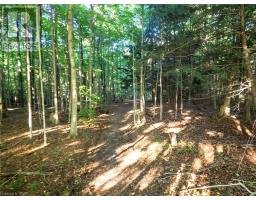 35449 BAYFIELD RIVER ROAD - 11