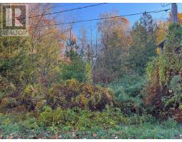 28 George Street, MLS X12542122