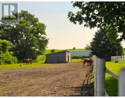 20076 CHERRY HILL ROAD - 3