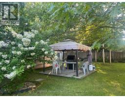 293 DRUMMOND STREET - 46