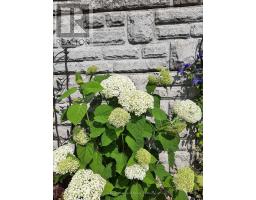 460 RICHARD CRESCENT - 23