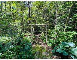 77347 FOREST RIDGE ROAD - 48