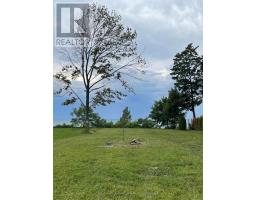 77775 NORMA STREET - 1