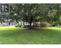 53 GEORGE STREET E - 4