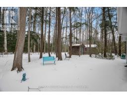 20 GEORGE STREET - 36