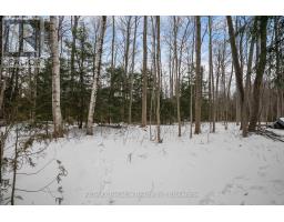 20 GEORGE STREET - 37