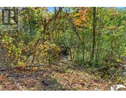 66 OLD MILL ROAD - 41