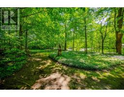 66 OLD MILL ROAD - 42