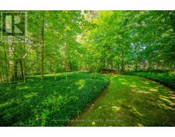 66 OLD MILL ROAD - 45