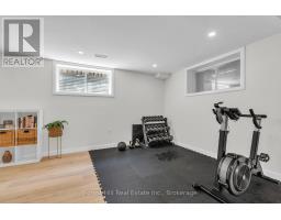 290 GINSENG STREET - 37