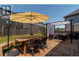 290 GINSENG STREET - 41