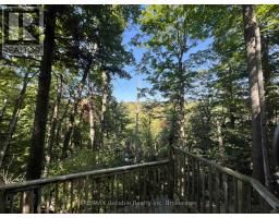 19 - 76735 WILDWOOD LINE - 39