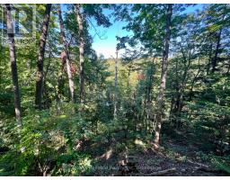 19 - 76735 WILDWOOD LINE - 41