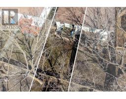 65 FALSTAFF STREET - 47