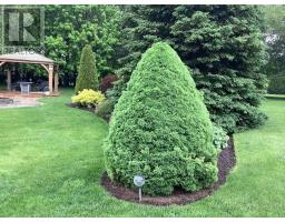 41342 WALTON ROAD - 37