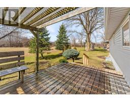 31 - 30 ANN STREET - 38