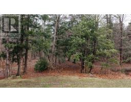 42 BAYFIELD MEWS LANE - 3