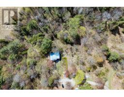 1667 Paint Lake Road, MLS X12150764