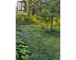 213 CHESTNUT DRIVE DRIVE S - 18
