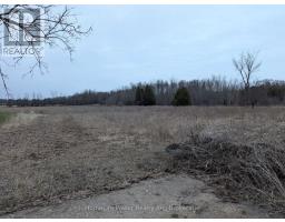 7151 SCHAEFER ROAD - 5