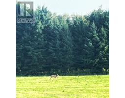 71 WAXWING CRESCENT - 39